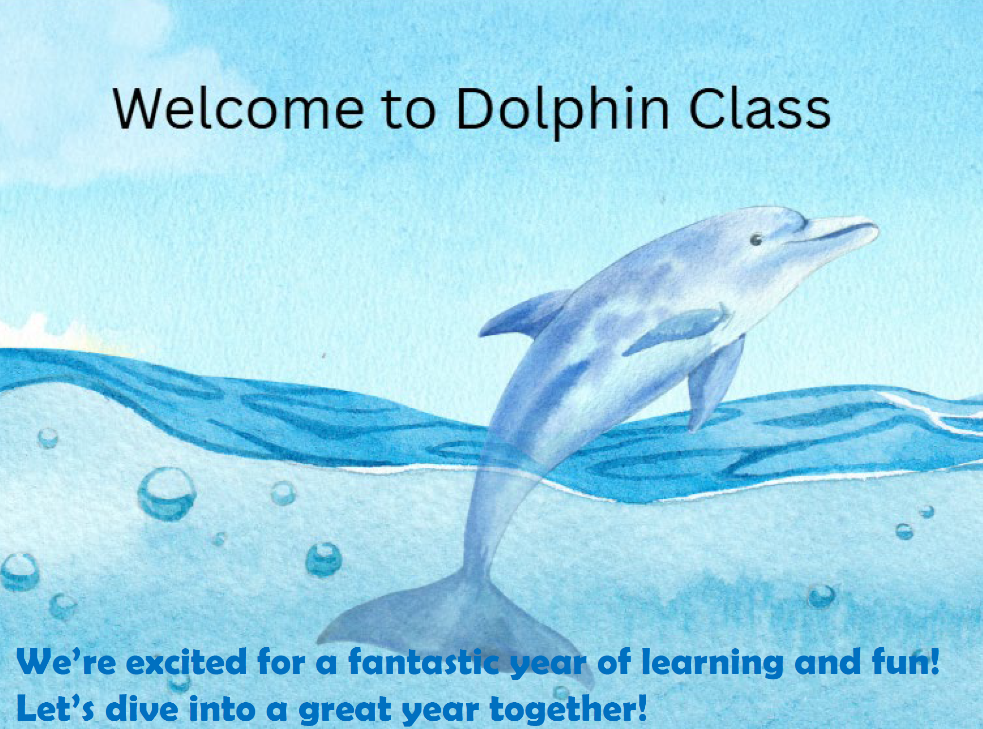 2025 Dolphin meet the teacher